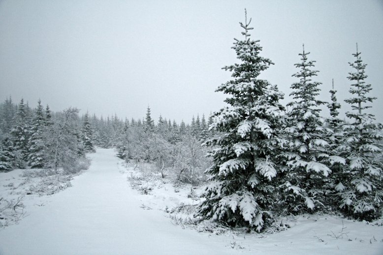 Skrifstofur Múlaþings loka fyrr föstudaginn 6. desember