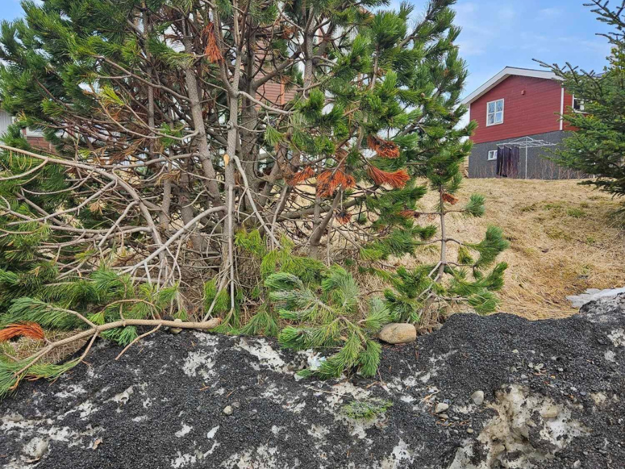 Komdu ábendingum þínum á framfæri með einföldum hætti